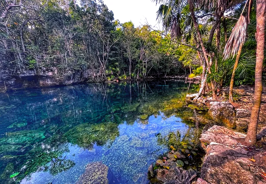 Chikin Ha X-Tabay Cenote pond