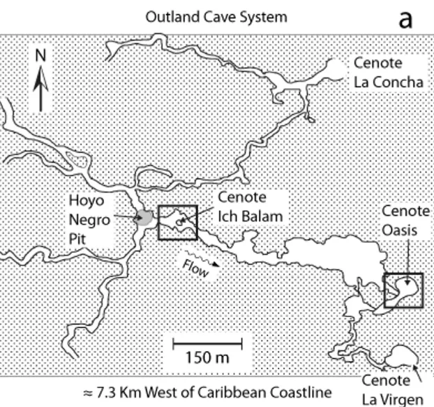 La Concha Cenote Cave map