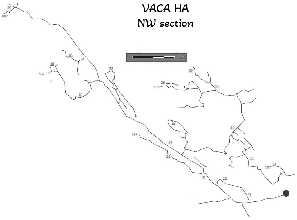 Vaca Ha Cenote cave lines map
