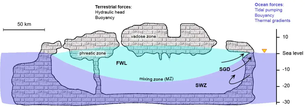 Diagram of the Yucatan Peninsula, where the groundwater is separated into two layers of different salinity and density forming the cenotes and caves