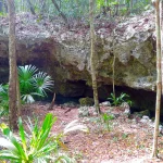 La Concha cenote entrance photo