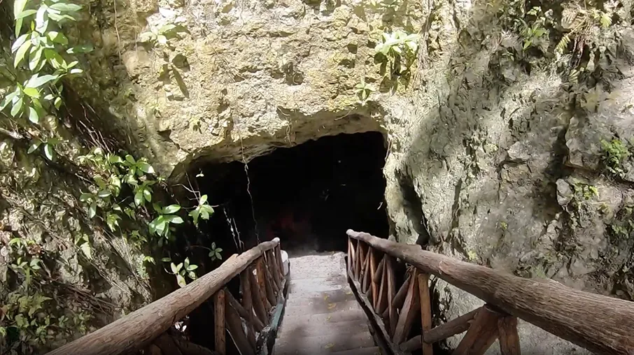Coop One Cenote cave entrance