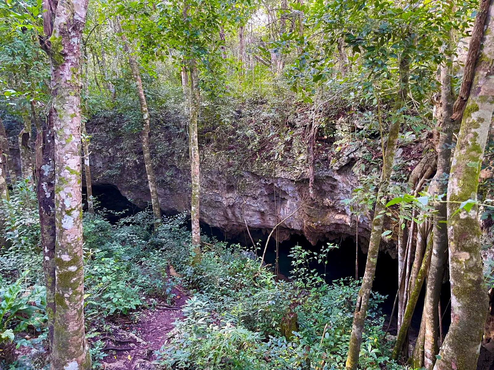 Nariz (Otoch Ha) Cenote entrance 1