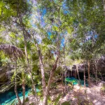 Minotauro Cenote Cave Entrance area