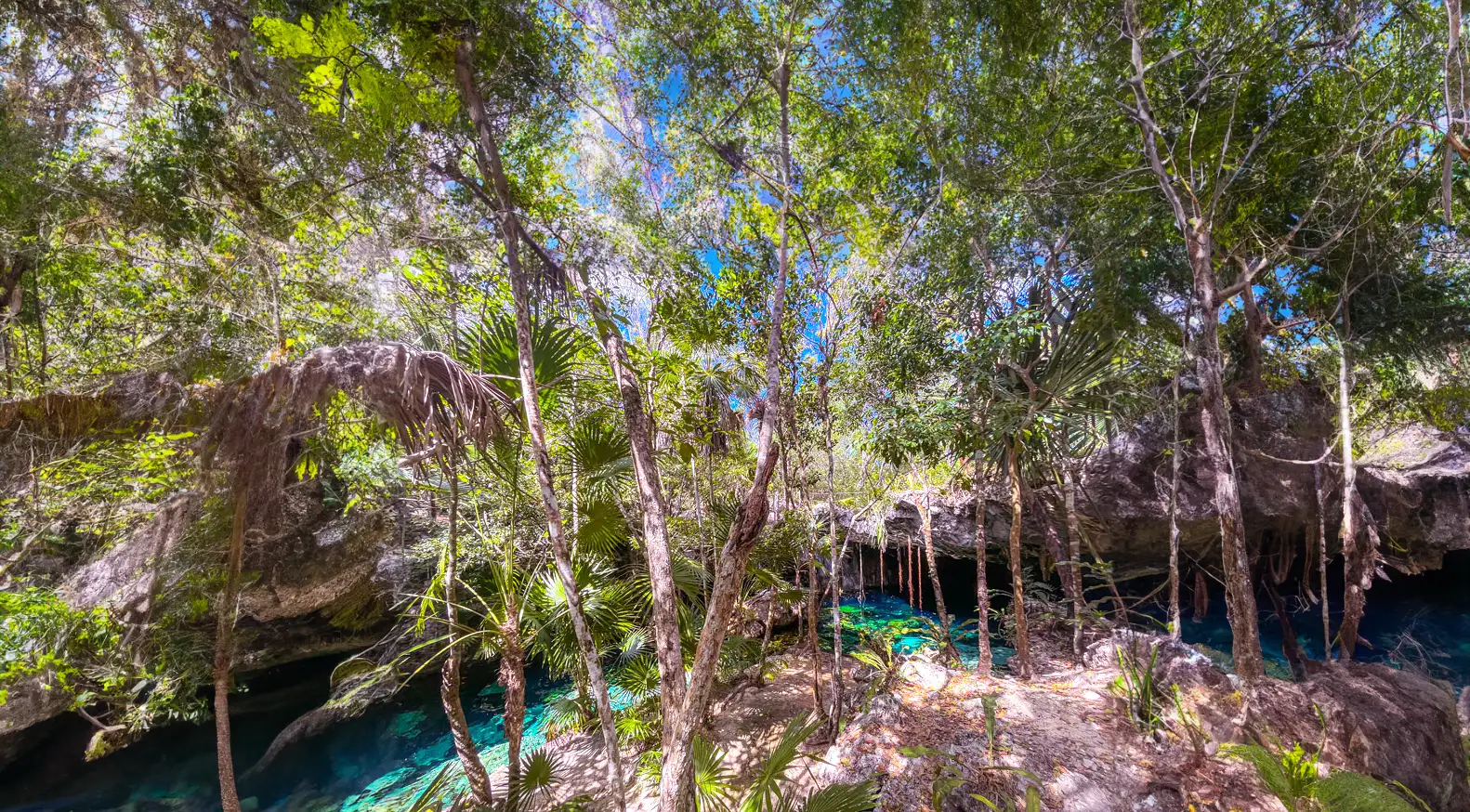 Minotauro Cenote Cave Entrance area