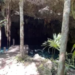 Pedrin Fenomeno Cenote entrance