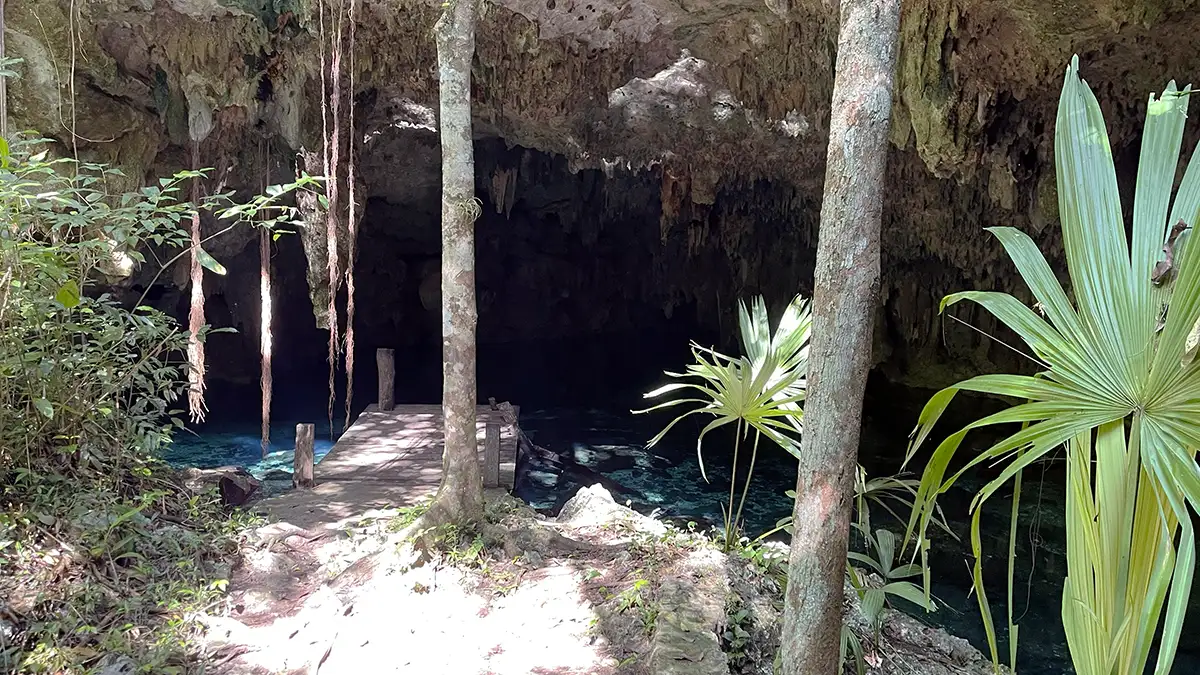 Pedrin Fenomeno Cenote entrance