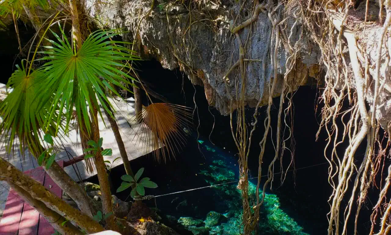 Dos Palmas Cenote entrance