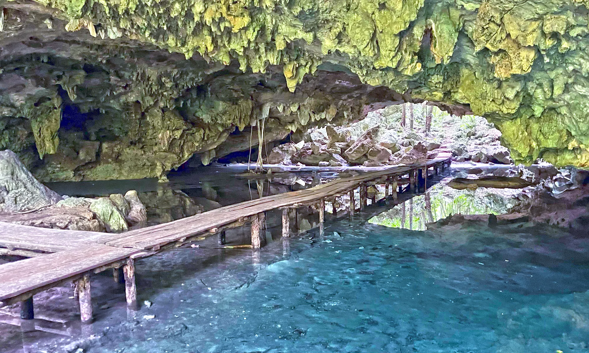 Monkey Dust Cenote Entrance